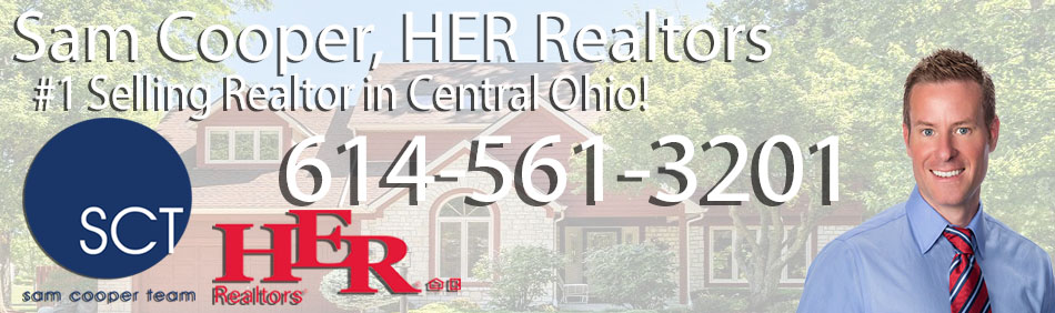 Pickerington Ohio Top Real Estate Agent